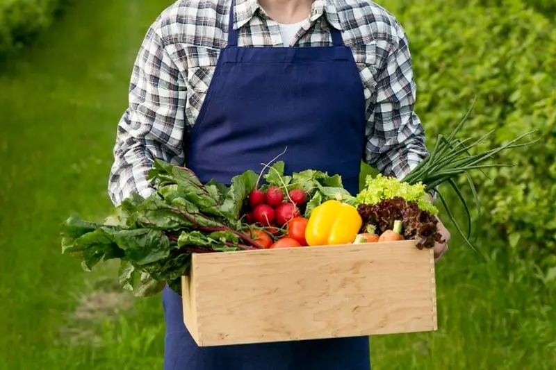 Food Agri Business Innovations – Forum Producentów i Przetwórców Żywności w Katowicach